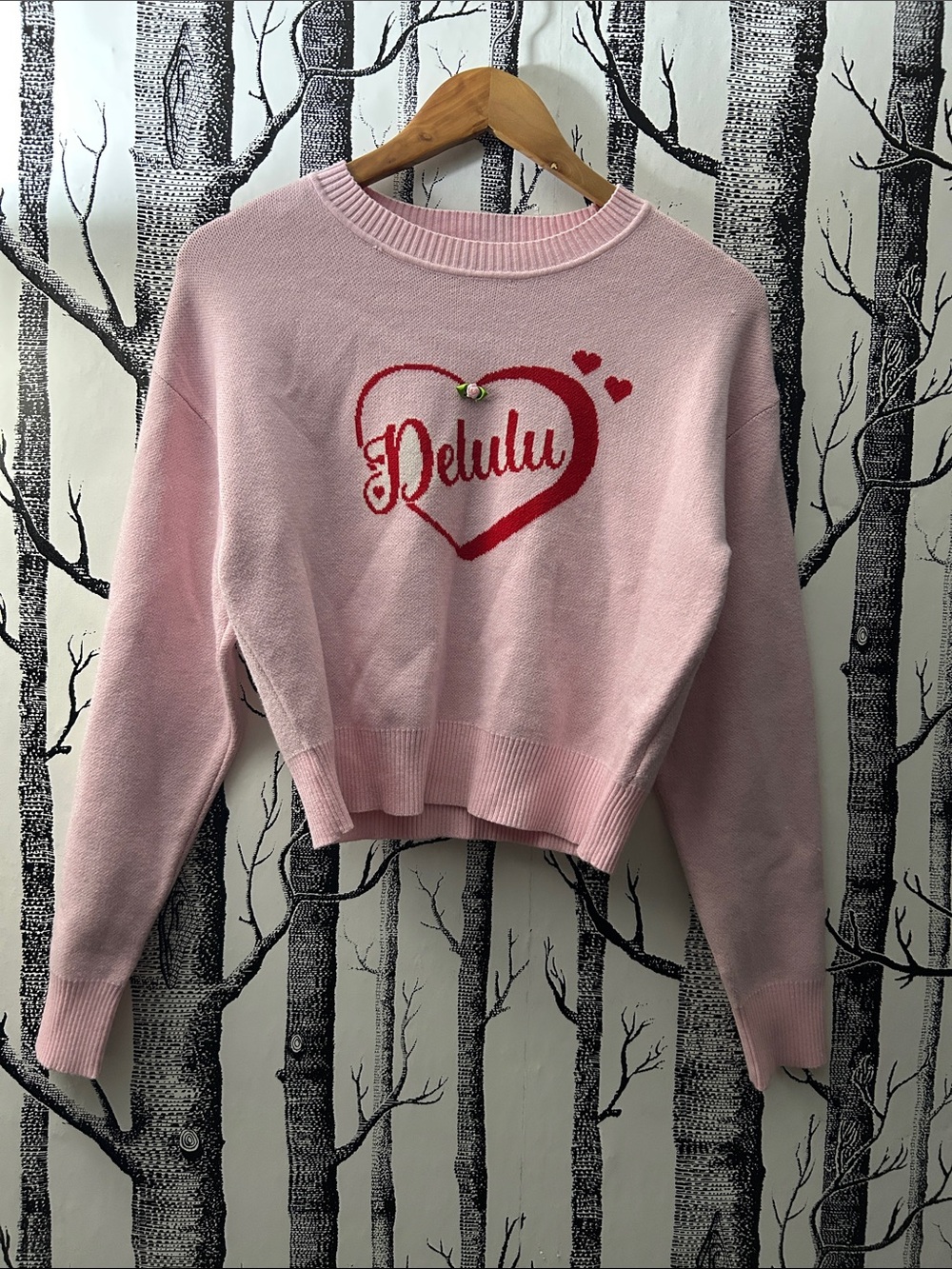 Women SMALL 4-6 Heart Logo Pink DELULU Sweater